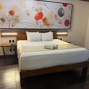 **** Hotel Kavia 5th Avenida (adults Only) Mexiko